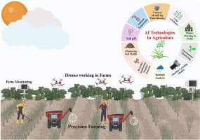 AI dự đoán dịch bệnh bằng thời tiết