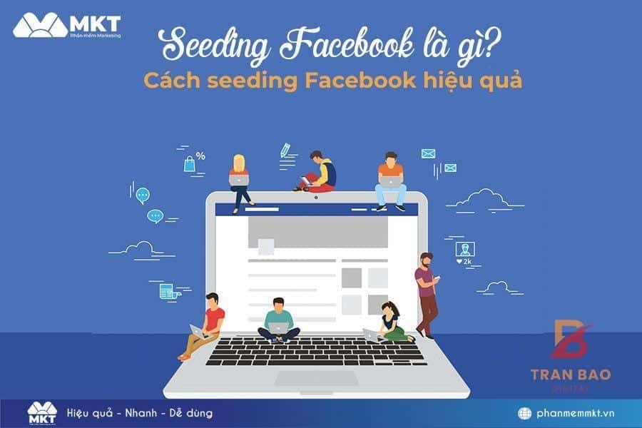 Cách seeding Facebook
