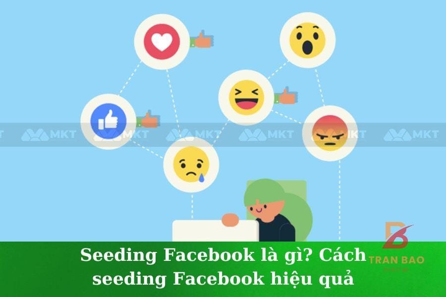 Cách seeding hiệu quả