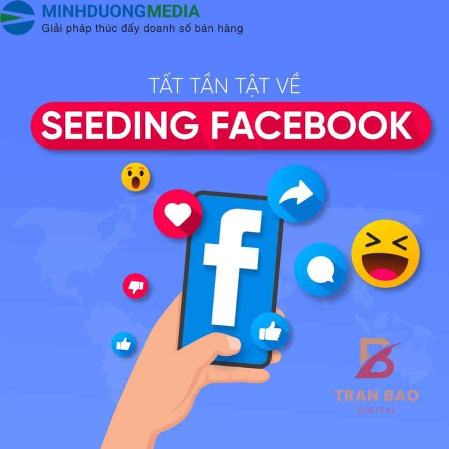 Cách thực hiện seeding