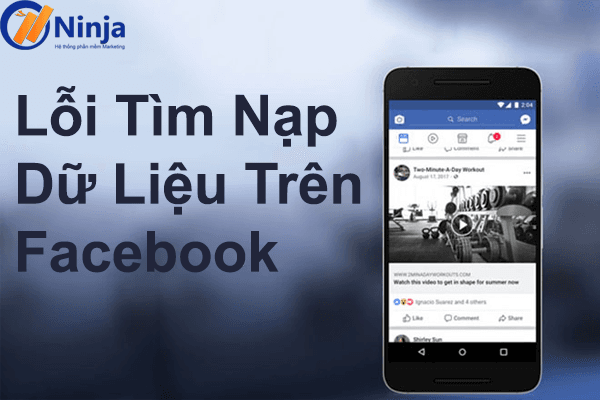 loi tim nap du lieu tren facebook ne