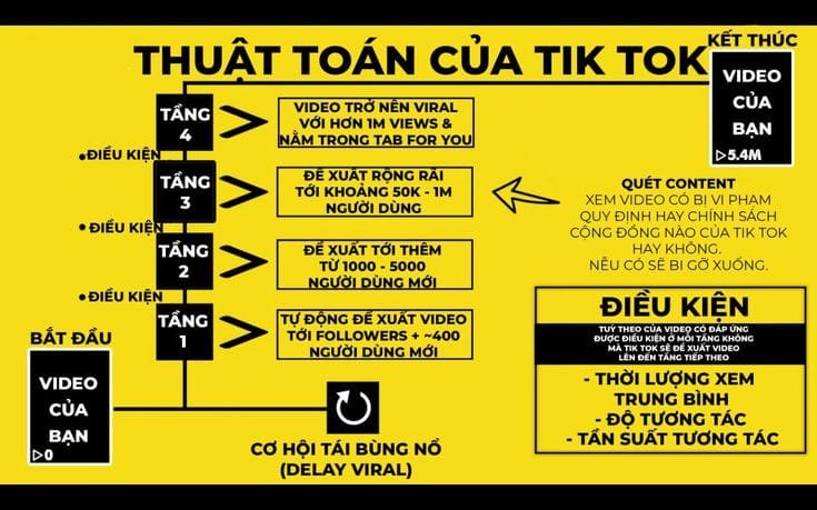 Hướng Dẫn Tạo Kênh Tiktok 3 Xây Dựng Hồ Sơ TikTok Hiệu Quả